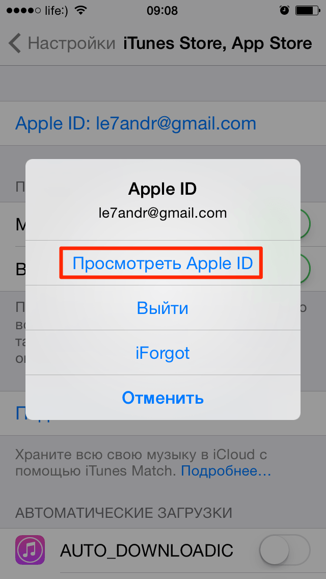 Отвязать айфон от id. Аппле ИД от айфона. Пароль для эпл айди. Пароль Apple ID на айфоне. Apple ID фото.